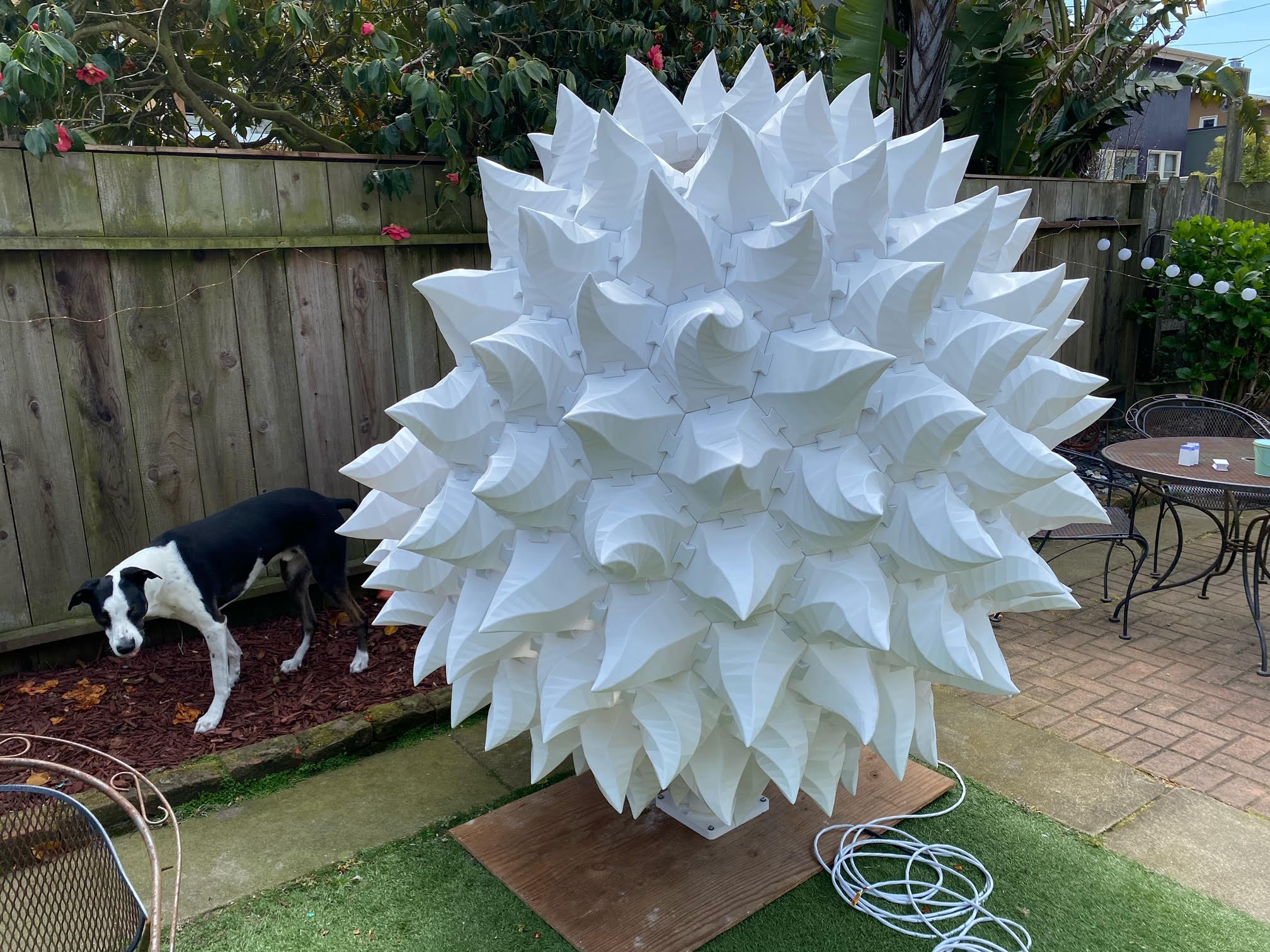 American White: Recycled PET-G